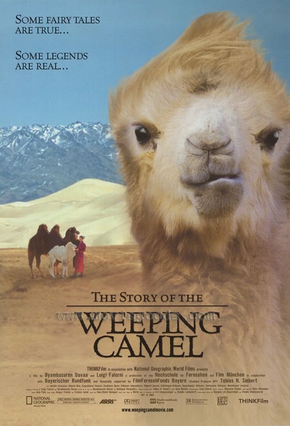 the story of the weeping camel