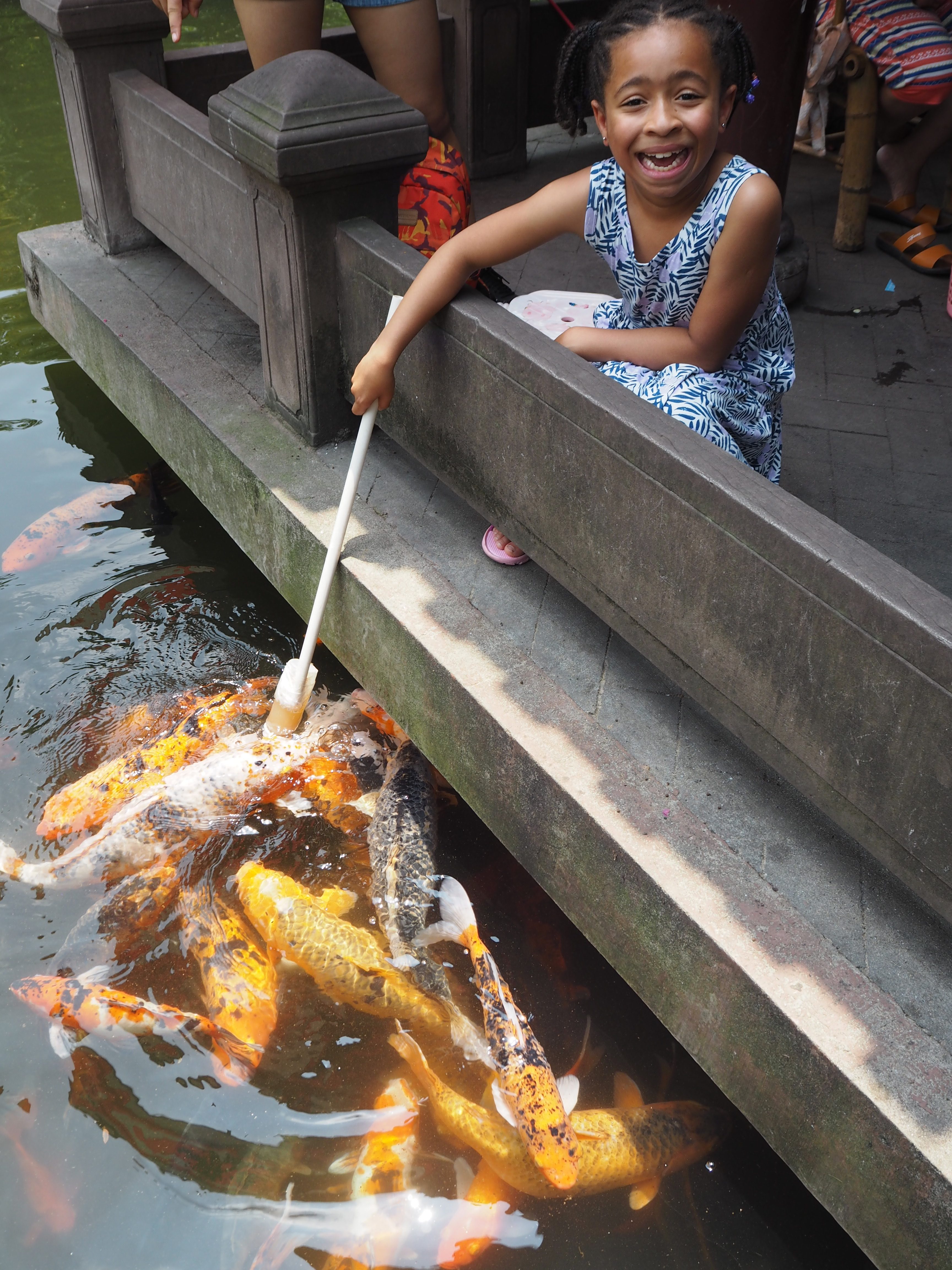 Bottle feeding koi carp in the People's Park